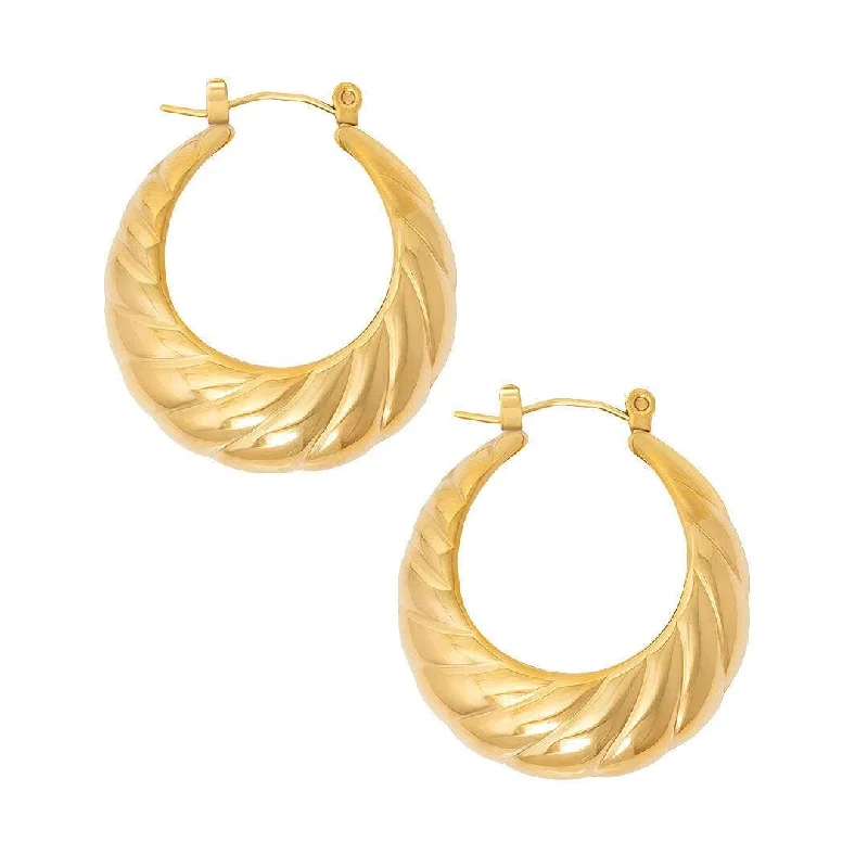 Ladies diamond drop earrings-Desire Hoop Earrings