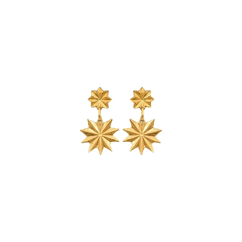 Ladies elegant earrings-Astra Earrings